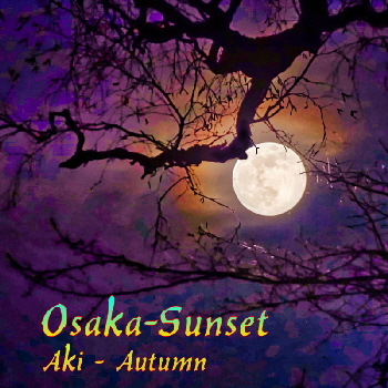 Osaka-Sunset - AKI  800 moon
